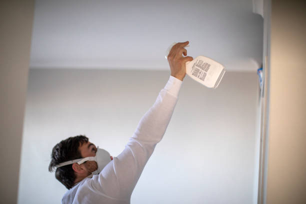 Best Commercial Mold Removal  in Stevenson, AL
