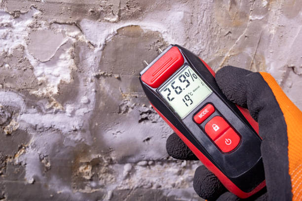 Best Mold Damage Repair  in Stevenson, AL