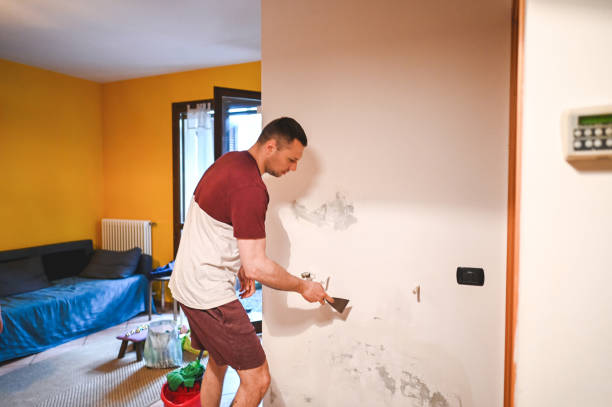 Best Mold Cleaning Services  in Stevenson, AL