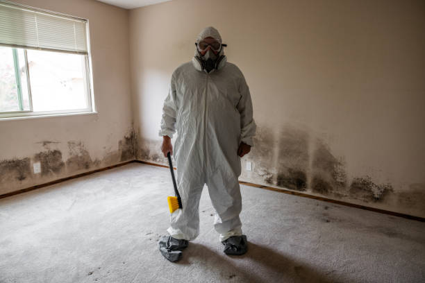 Best Emergency Mold Removal  in Stevenson, AL